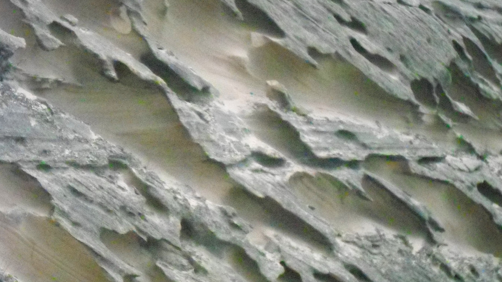Samsung PL20,PL21 / VLUU PL20,PL21 sample photo. Rocha photography