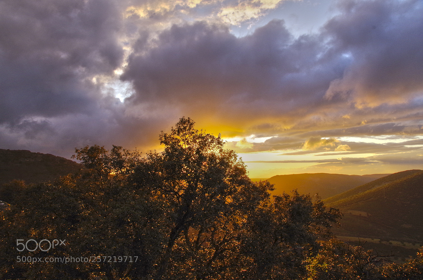 Pentax K-50 sample photo. Sunset in solitude photography