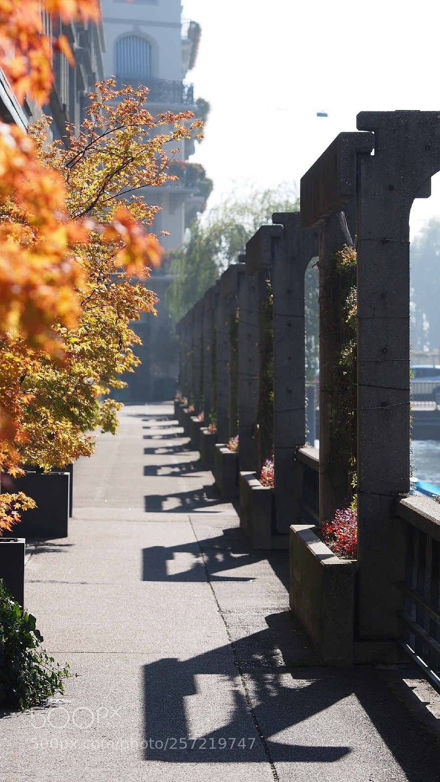 Olympus OM-D E-M5 sample photo. Autumn light photography