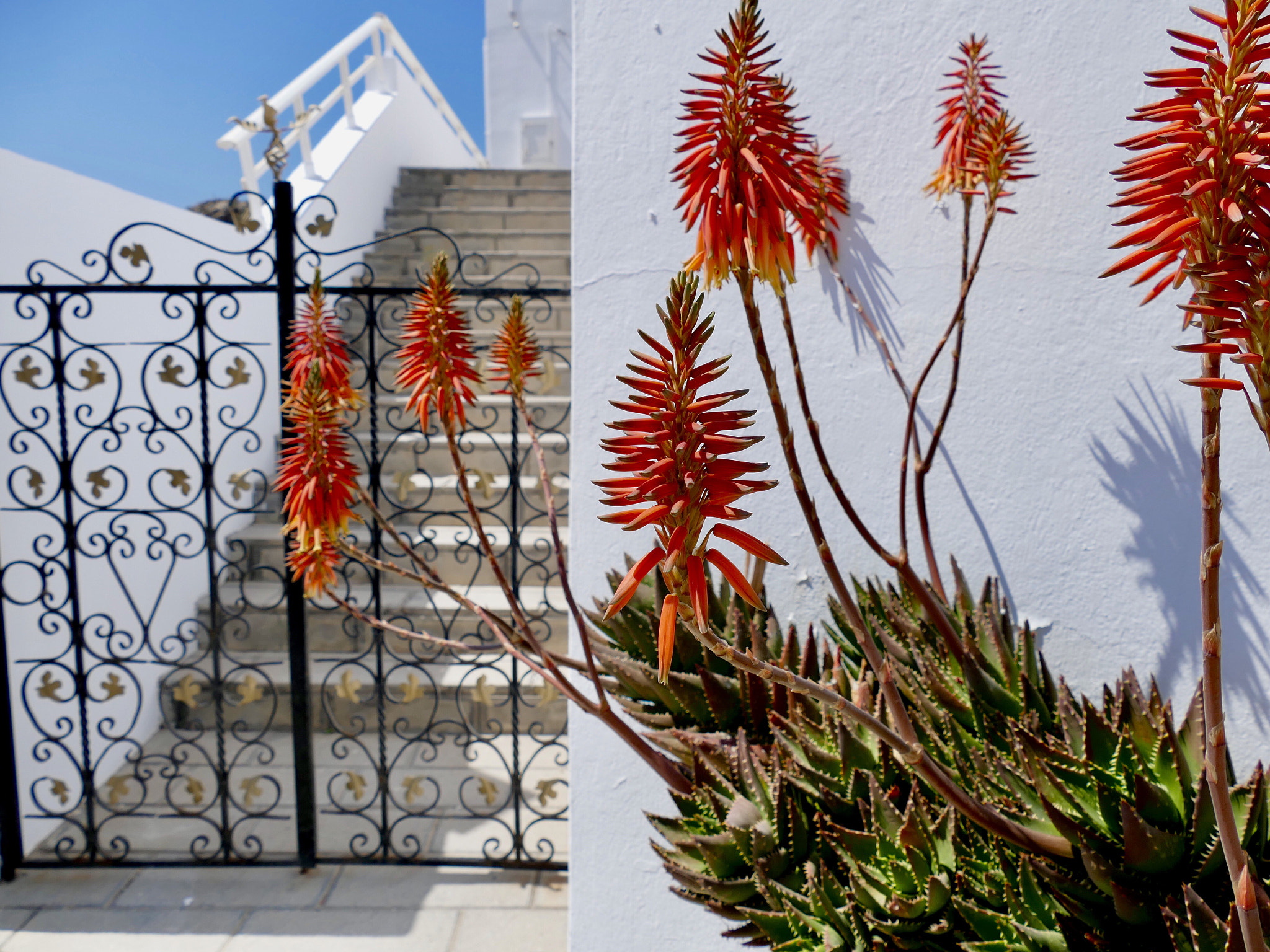 Leica V-Lux (Typ 114) sample photo. Lindos
rhodes photography