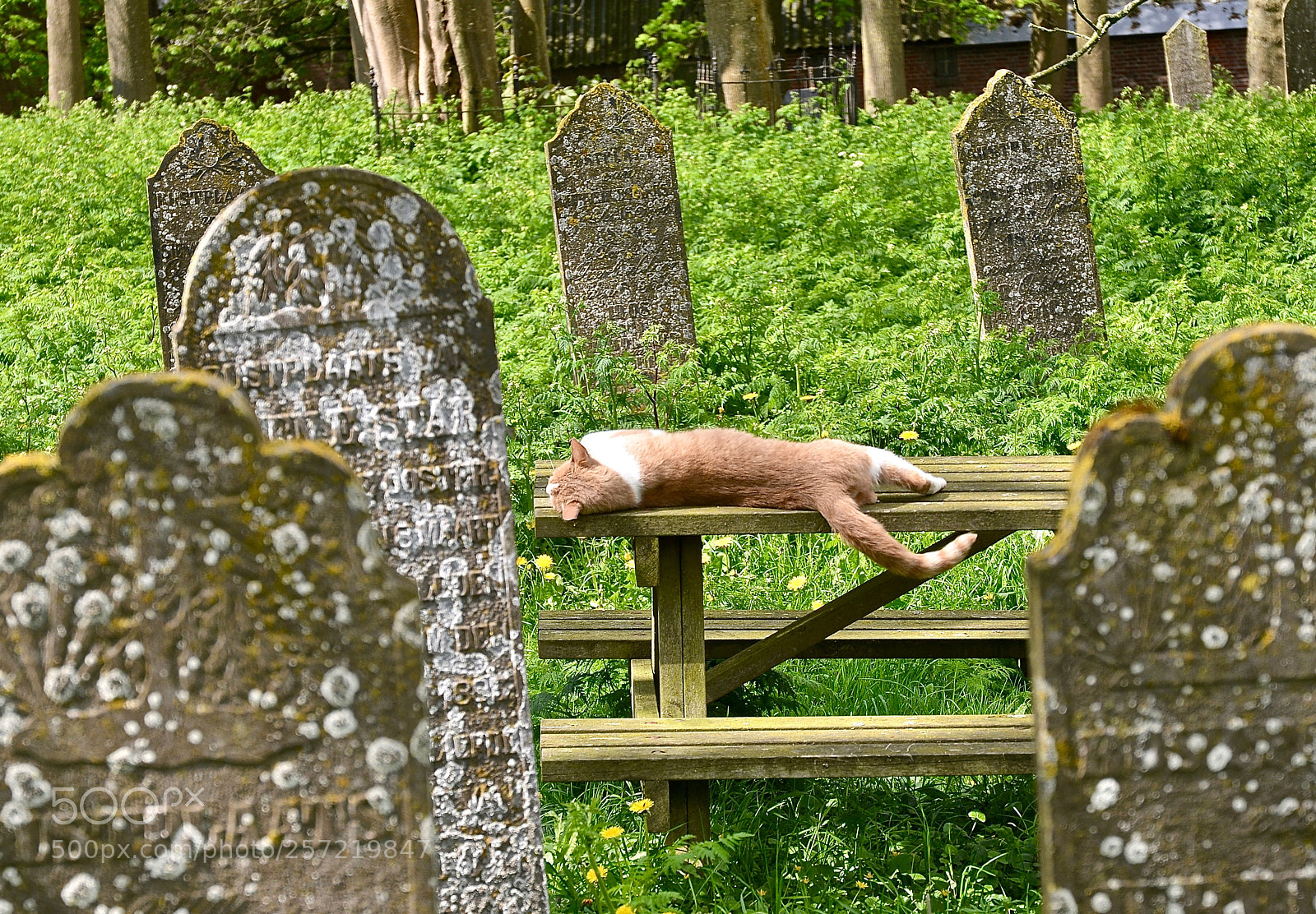 Nikon D800 sample photo. It's oh so quiet photography