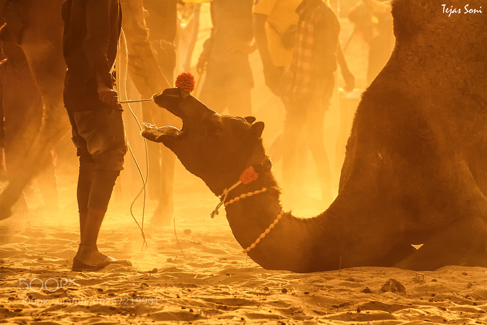 Canon EOS 7D sample photo. Pushkar fair photography