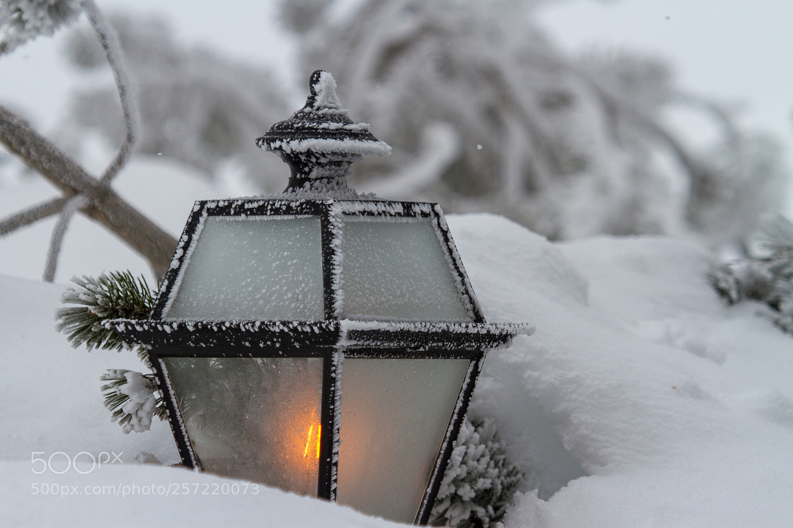 Canon EOS 7D sample photo. Tief im schnee photography