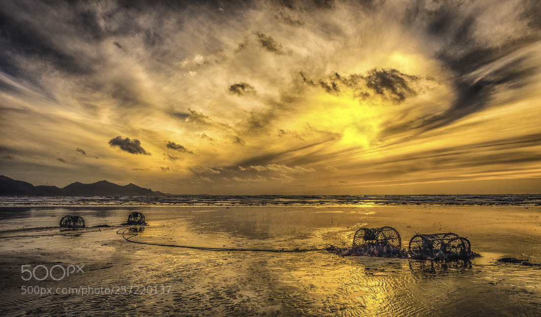 Nikon D810 sample photo. Dinas dinlle, photography