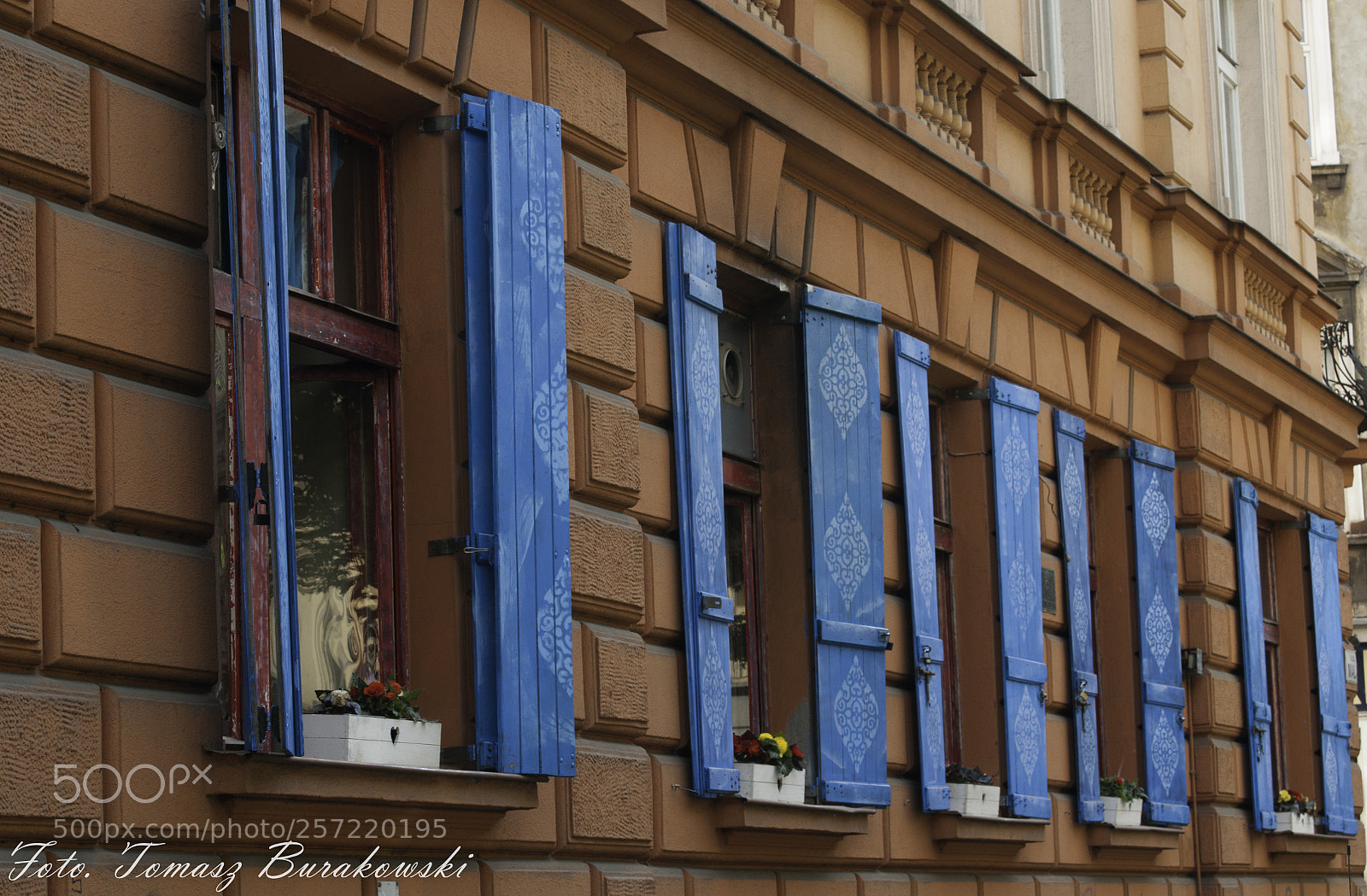 Nikon D300S sample photo. Cafe szafe photography
