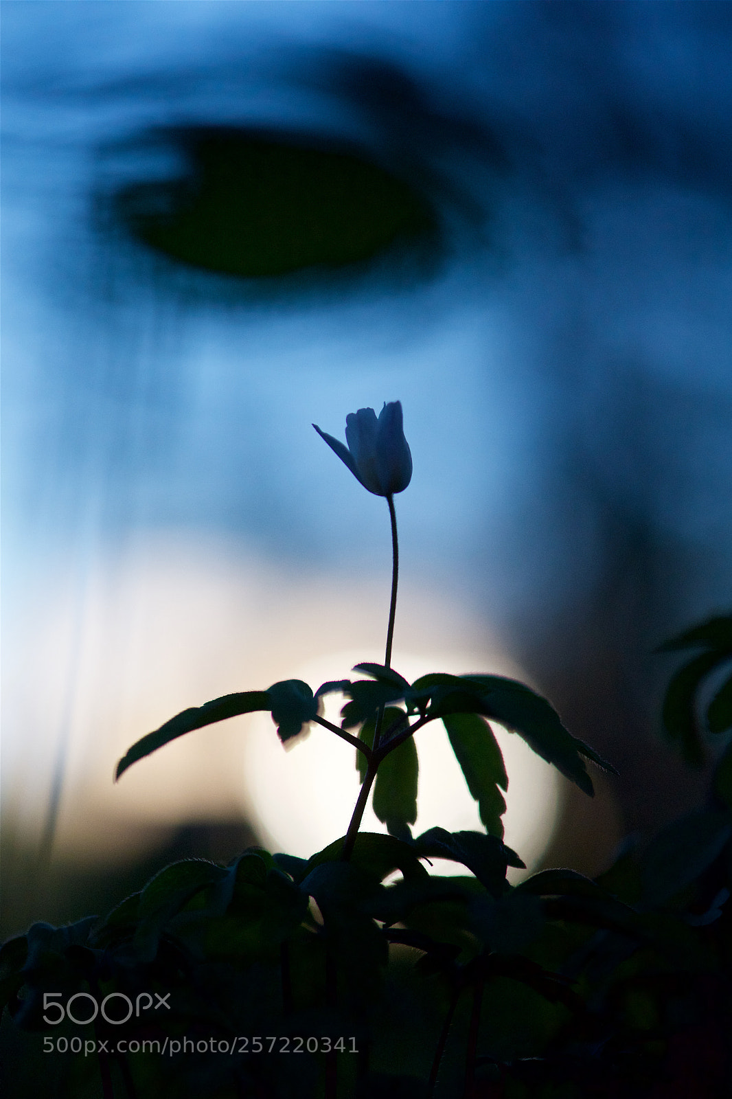 Nikon D810 sample photo. Good night! photography