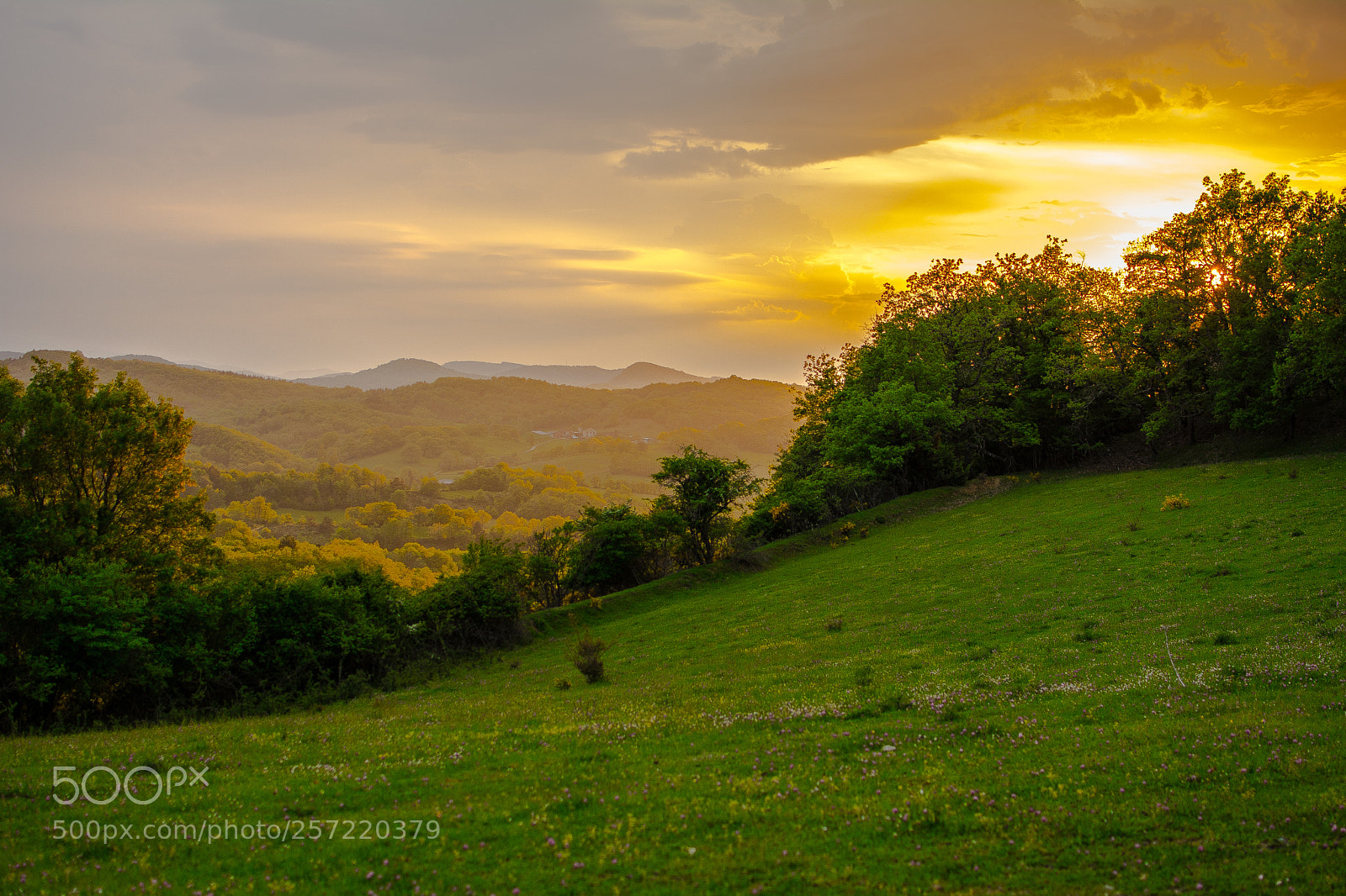 Nikon D5200 sample photo. Sunset on countryside photography