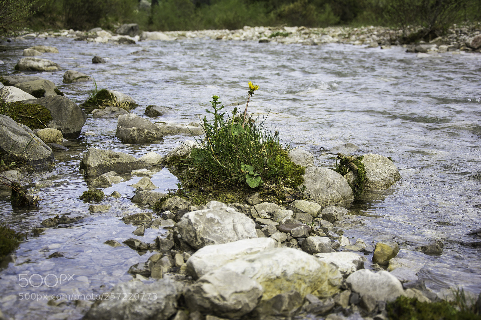 Nikon D7100 sample photo. Lonely photography
