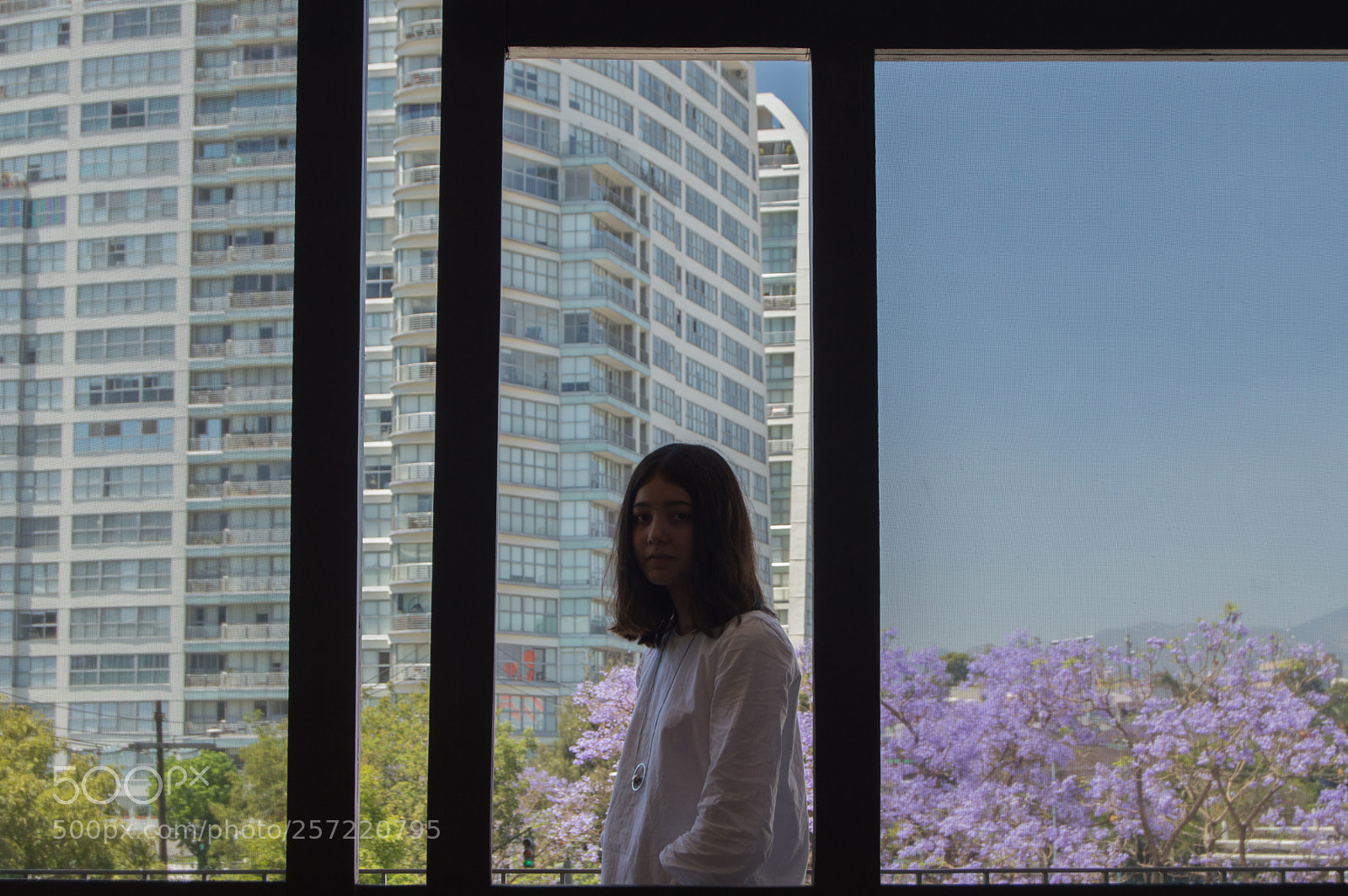 Nikon D3200 sample photo. Into the shape photography
