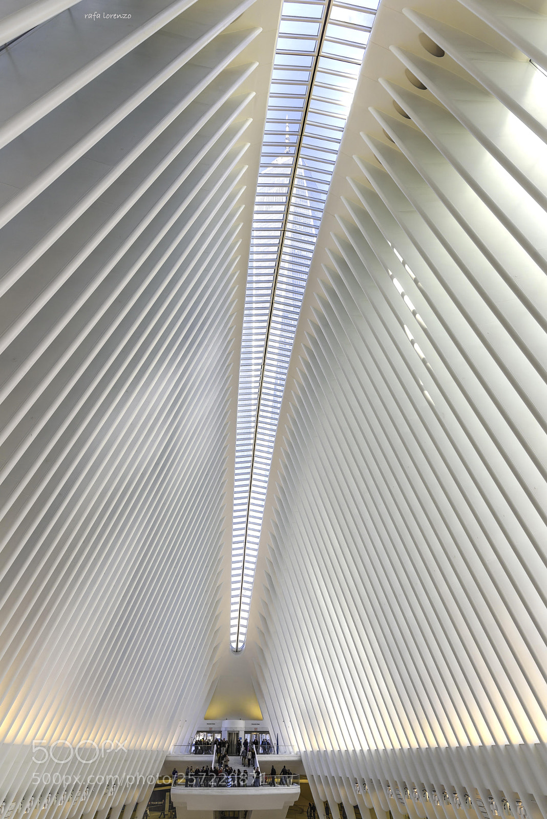 Nikon D810 sample photo. One wtc @ oculus photography