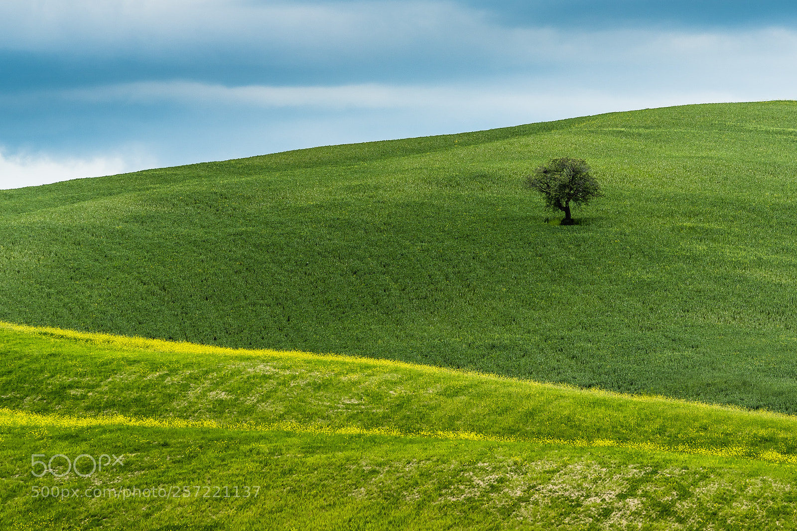 Nikon D810 sample photo. Colors photography