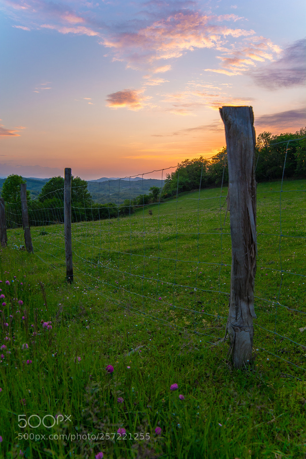 Nikon D5200 sample photo. Sunset on countryside photography