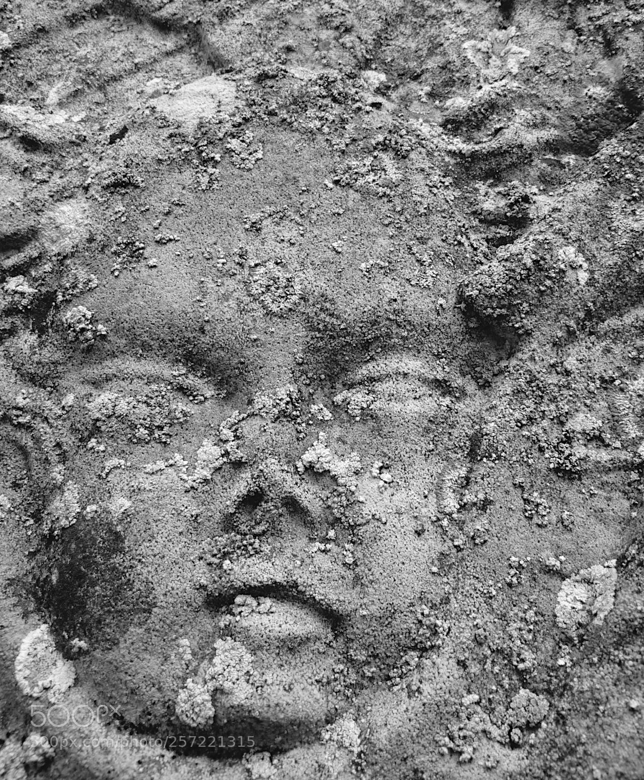 Panasonic DMC-TZ7 sample photo. Face in a gravestone photography