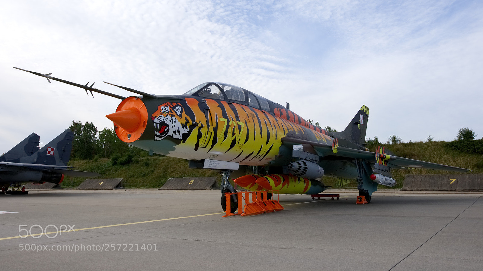 Nikon D7200 sample photo. Tiger photography