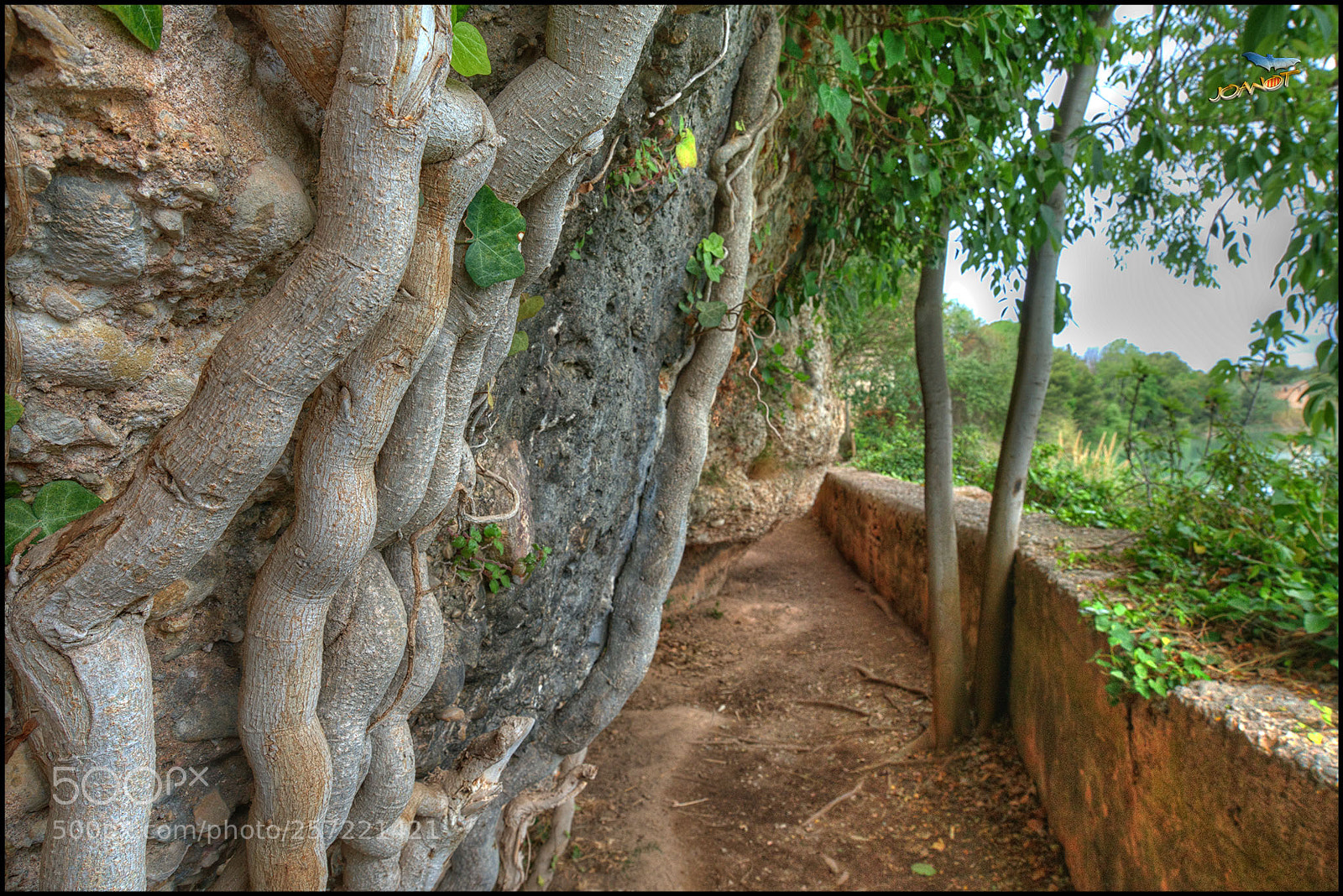Sony a7R II sample photo. 1798 - vora riu millars photography