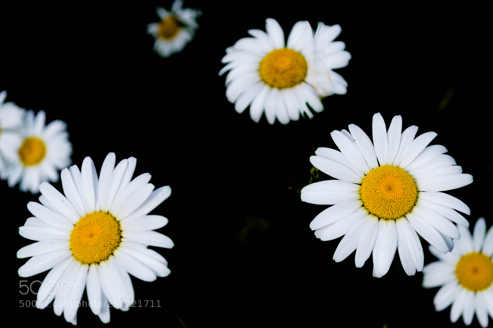 Nikon D3200 sample photo. Glow in the darkness photography