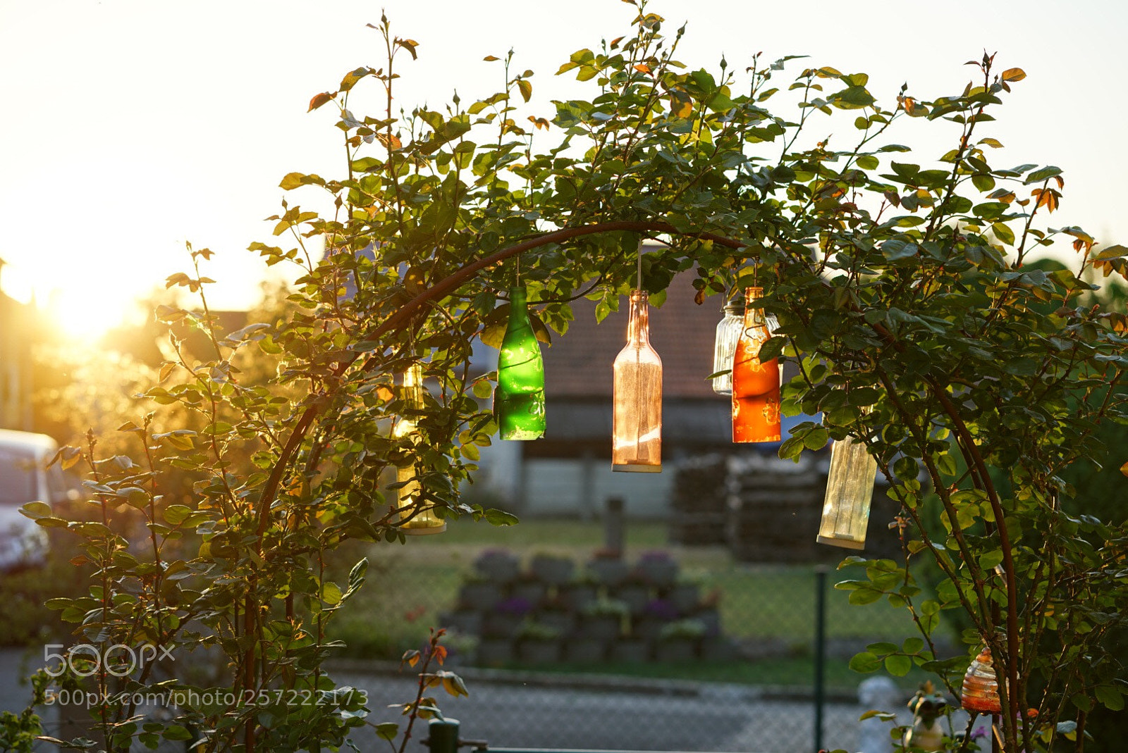 Sony a7R II sample photo. Untitled photography