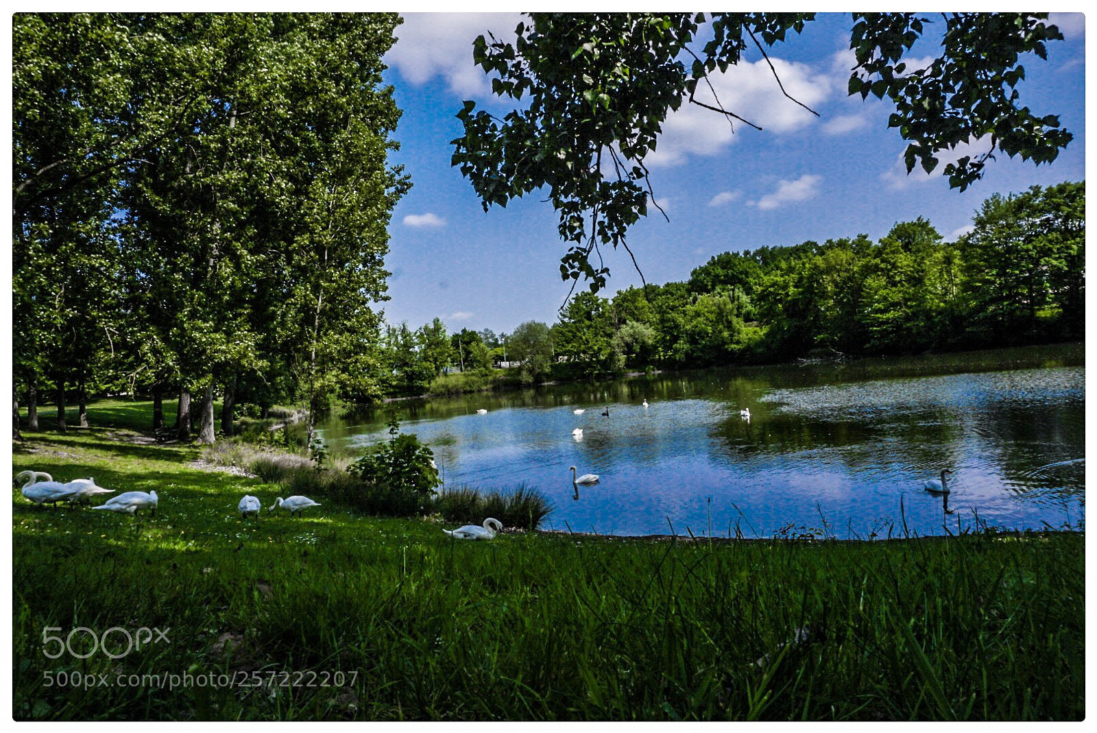 Sony a6000 sample photo. Untitled photography