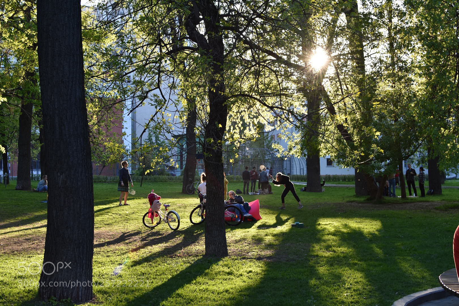 Nikon D3400 sample photo. Playful photography