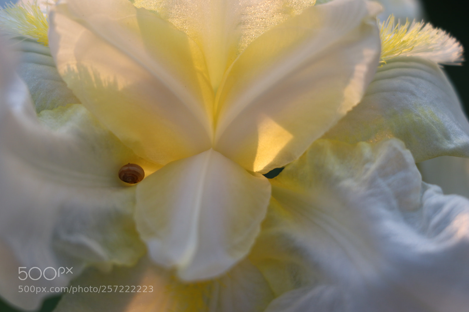 Canon EOS 80D sample photo. Untitled photography