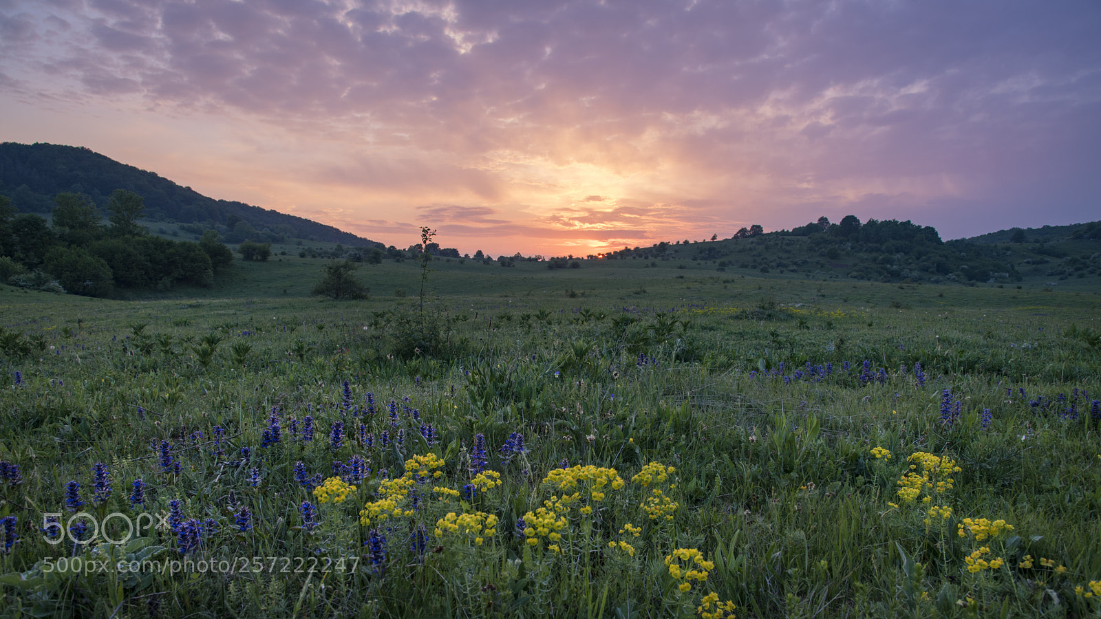 Nikon D850 sample photo. Welcome home photography