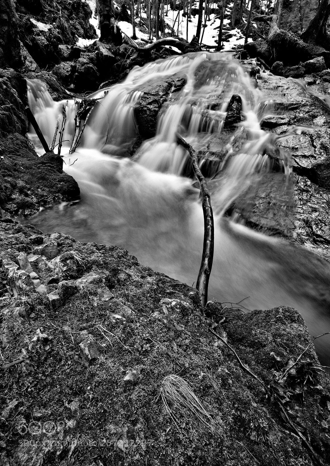 Canon EOS 5D Mark II sample photo. ~ photography