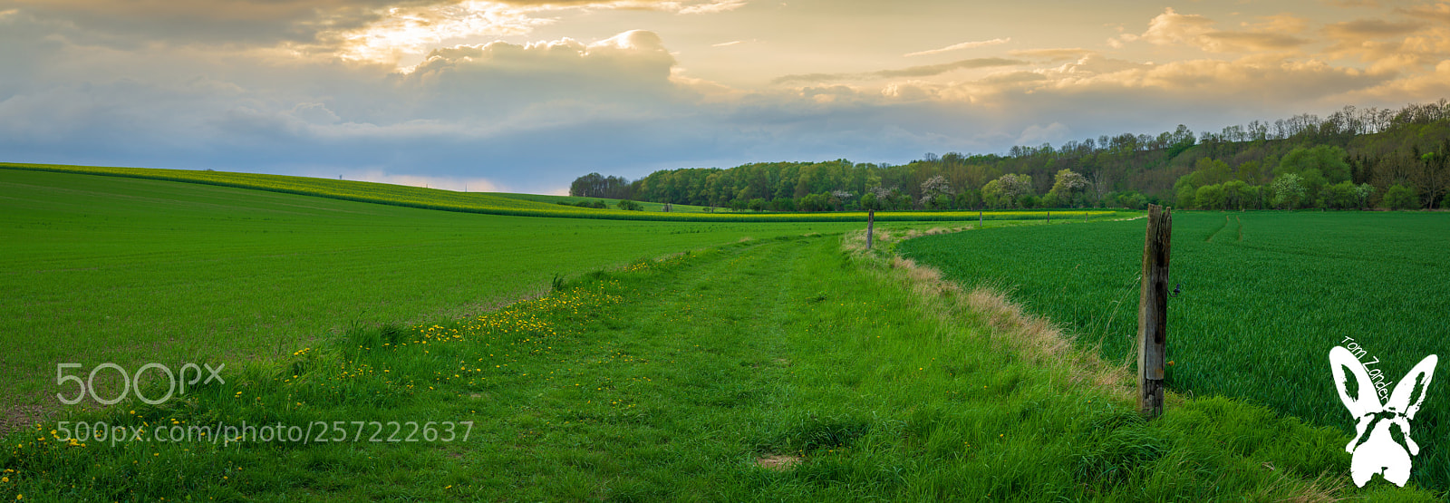 Sony a6000 sample photo. Pano photography