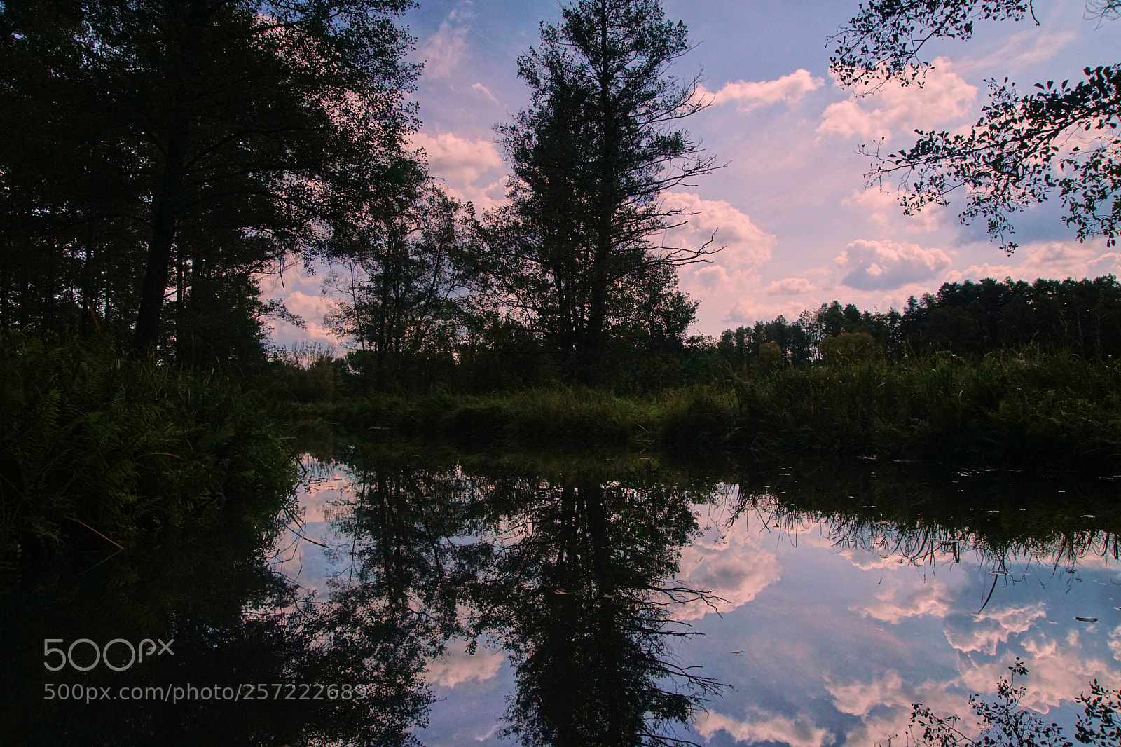 Sony ILCA-77M2 sample photo. Lonelyness on the river photography