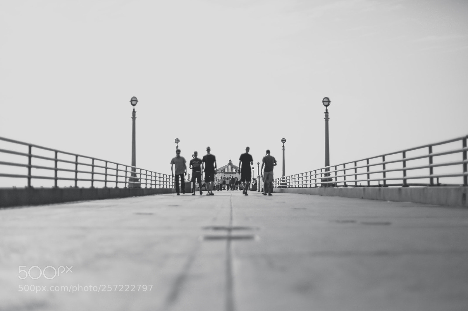 Canon EOS 5D Mark II sample photo. Manhattan beach photography
