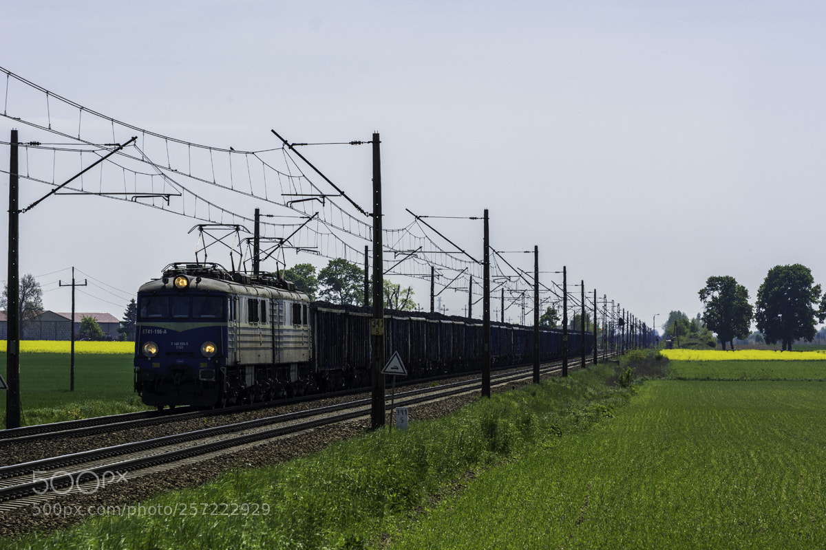 Nikon D5200 sample photo. Et41-196 photography
