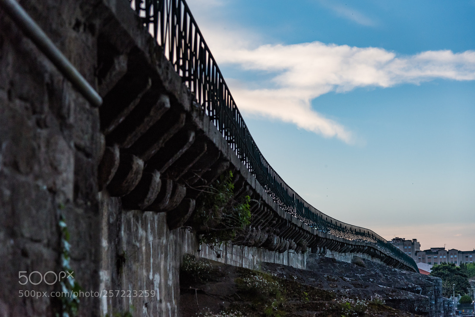 Nikon D750 sample photo. Seeing through the bridge photography