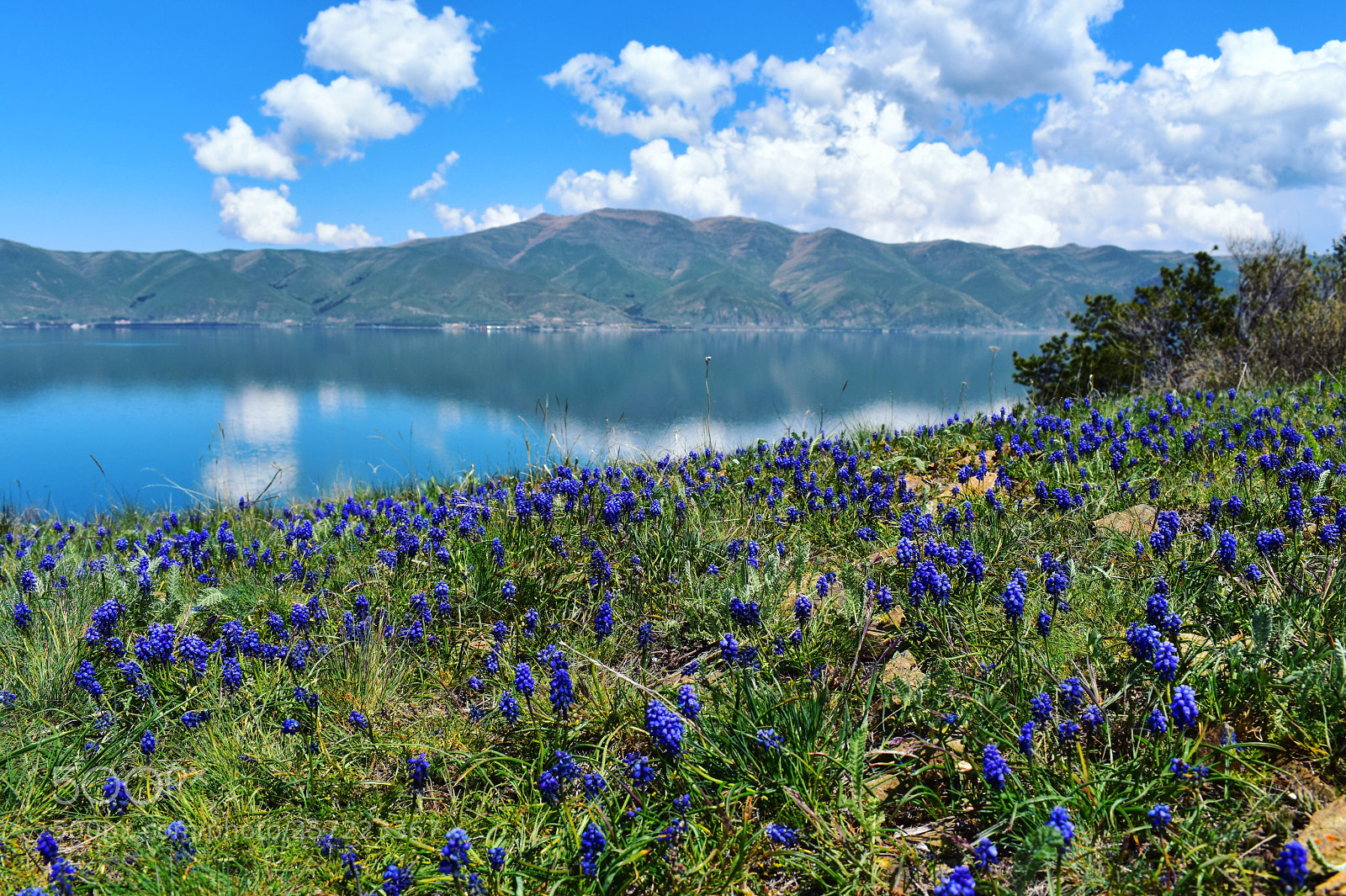 Nikon D3400 sample photo. Sevan lake photography