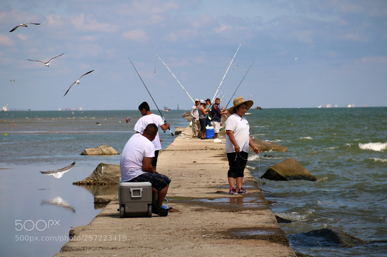 Canon EOS 750D (EOS Rebel T6i / EOS Kiss X8i) sample photo. Galveston 7056 photography