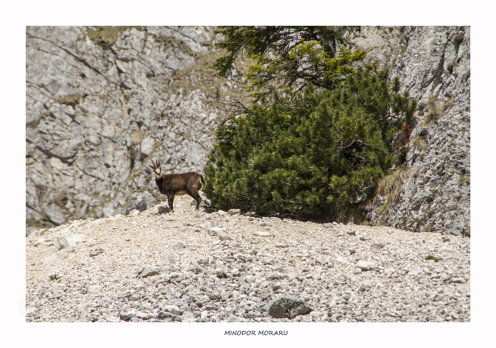 Canon EOS 7D sample photo. Good morning photography