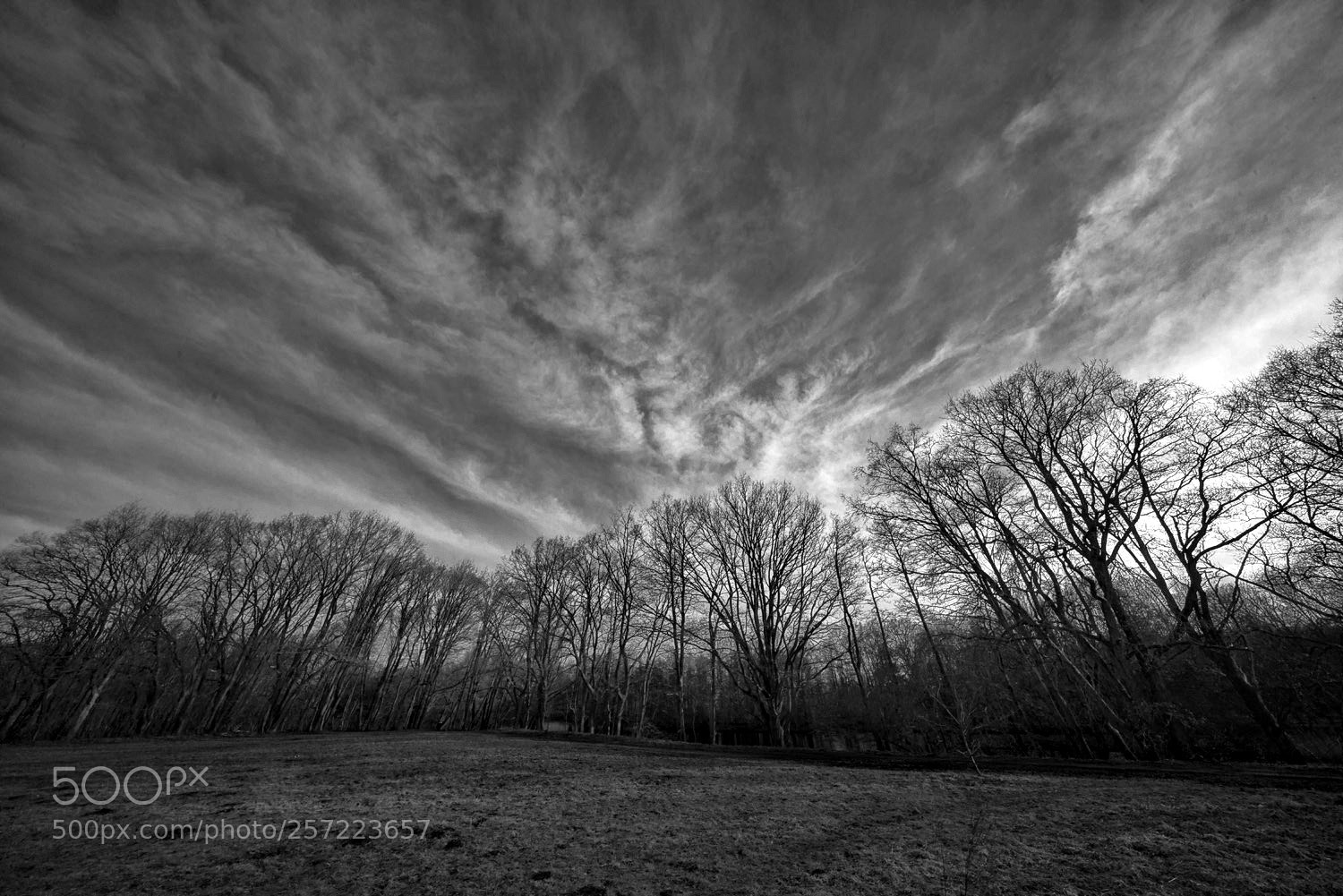 Sony a7R sample photo. Evening mood photography