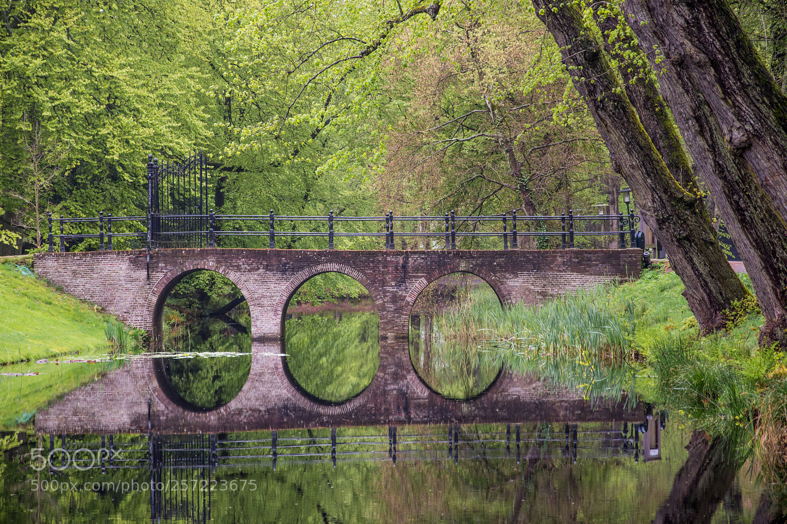 Nikon D7200 sample photo. Old bridge photography