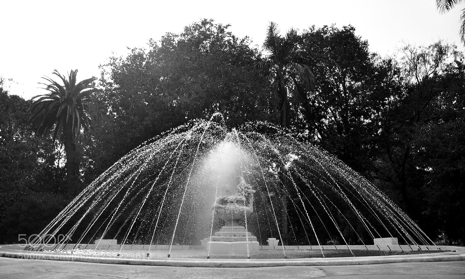 Nikon D90 sample photo. Fuente photography