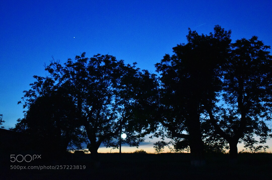 Nikon D3400 sample photo. Sunset echoes photography