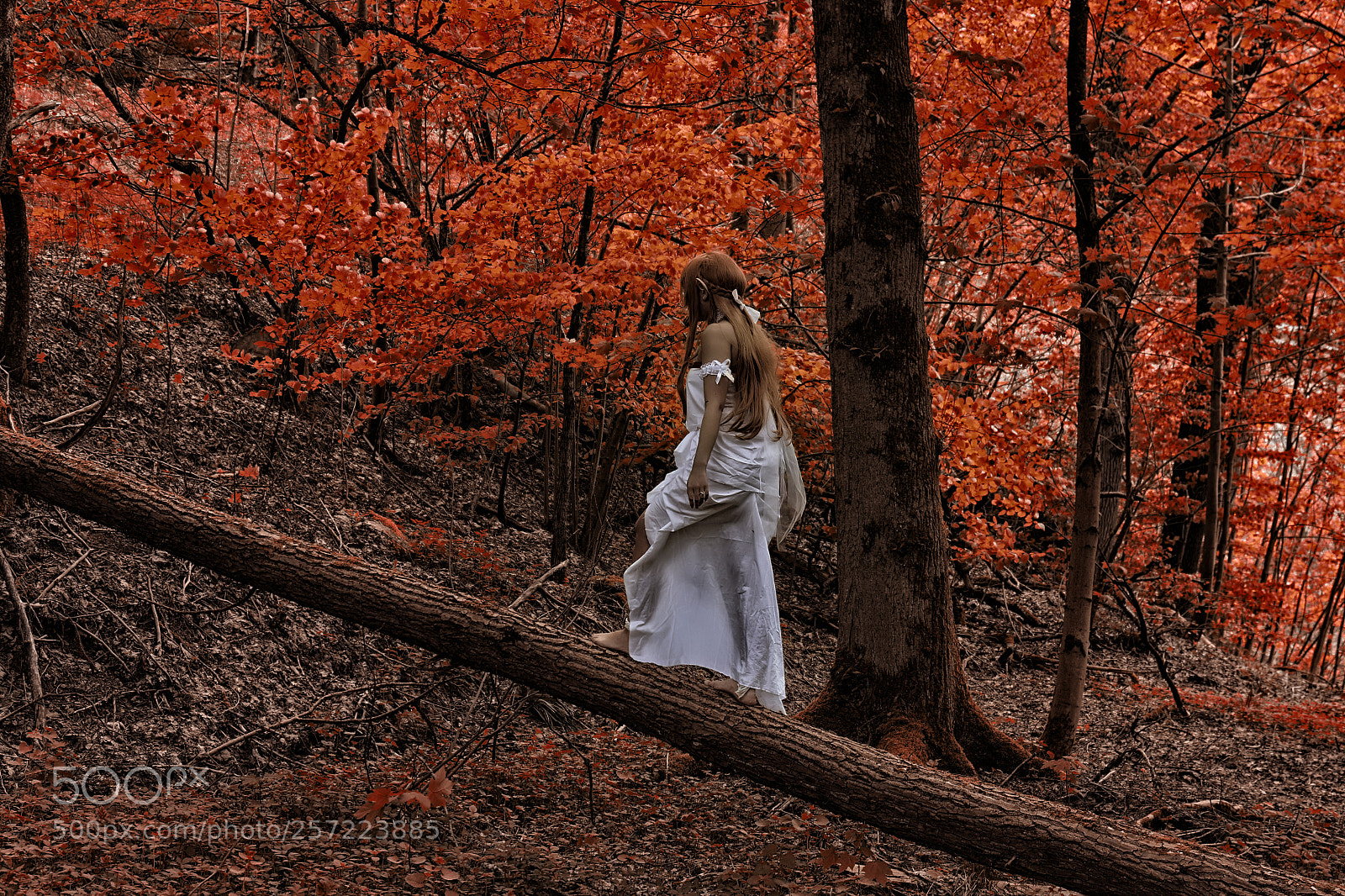 Canon EOS 7D Mark II sample photo. Magica 8 photography