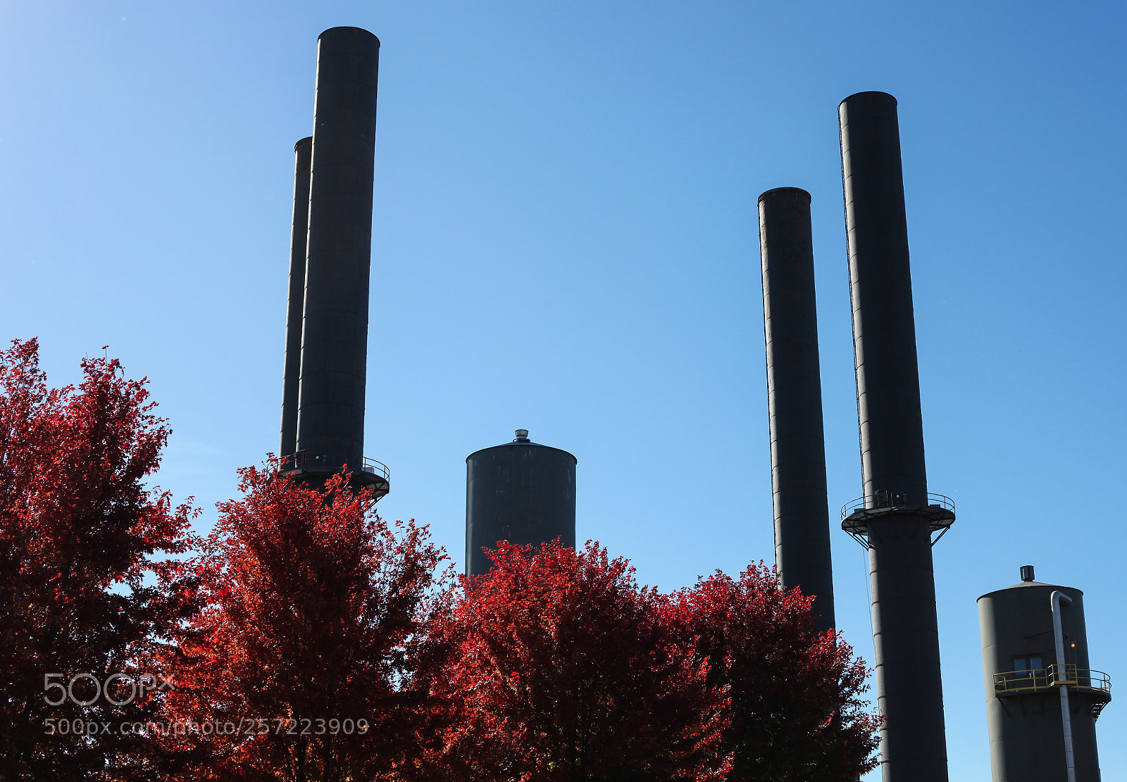 Canon EOS 5D Mark II sample photo. Minneapolis photography