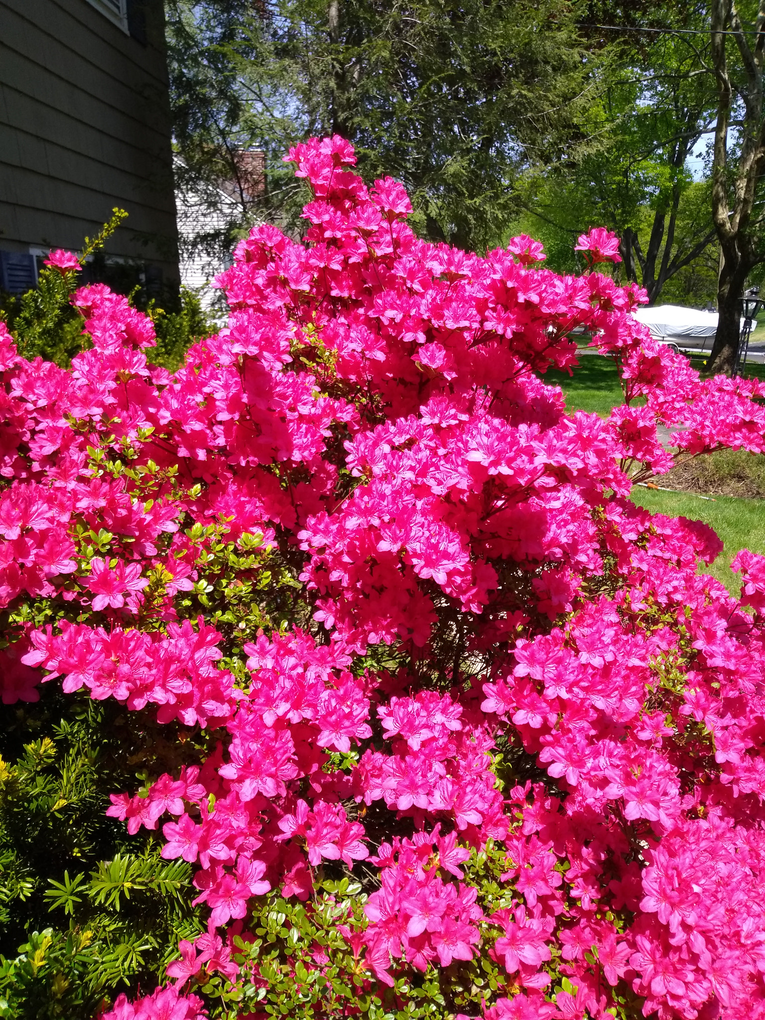 Motorola Moto E (4) Plus sample photo