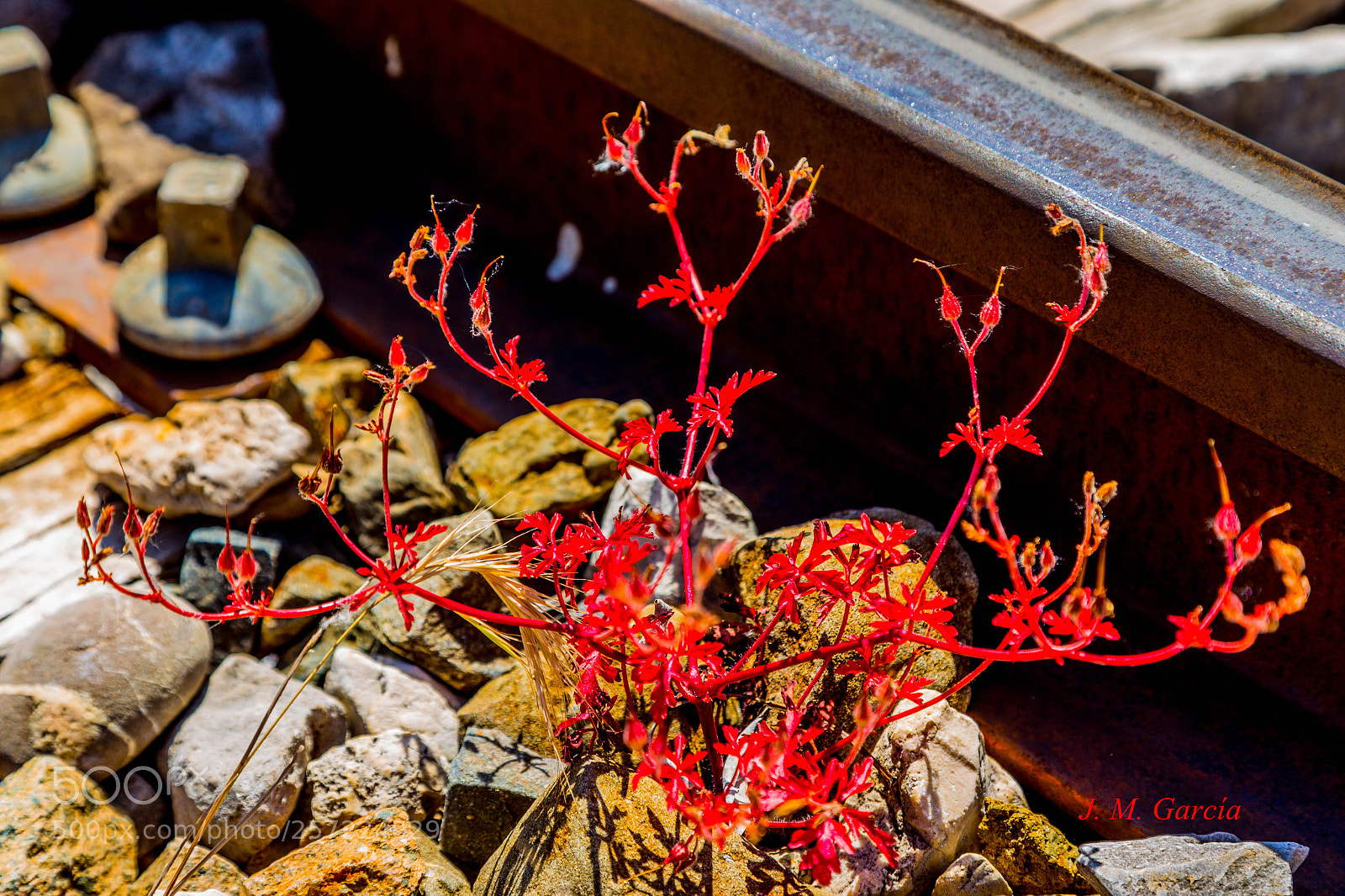 Canon EOS 6D sample photo. Img photography