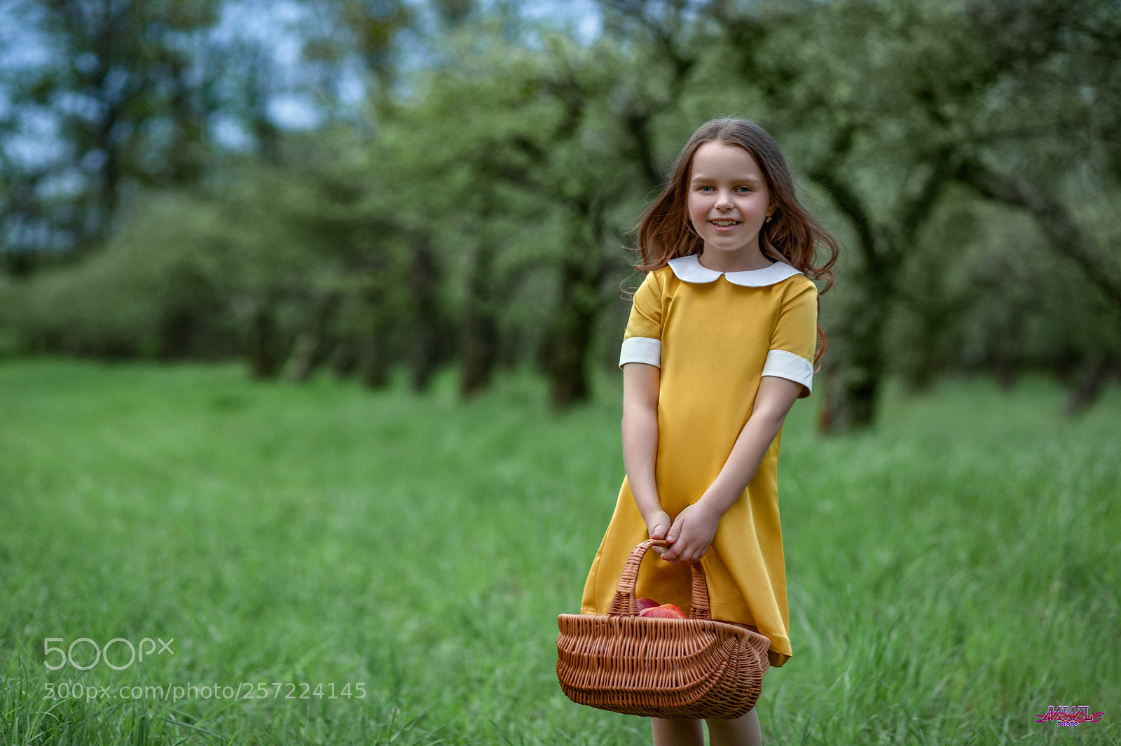 Canon EOS 5D Mark II sample photo. Darya photography