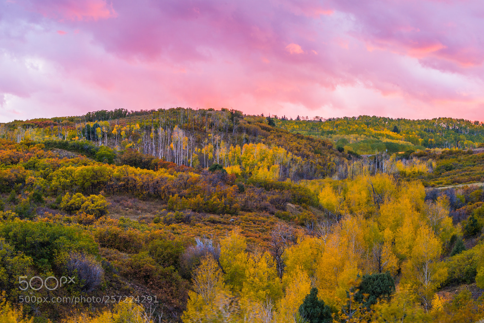 Nikon D800 sample photo. Fall in colorado photography