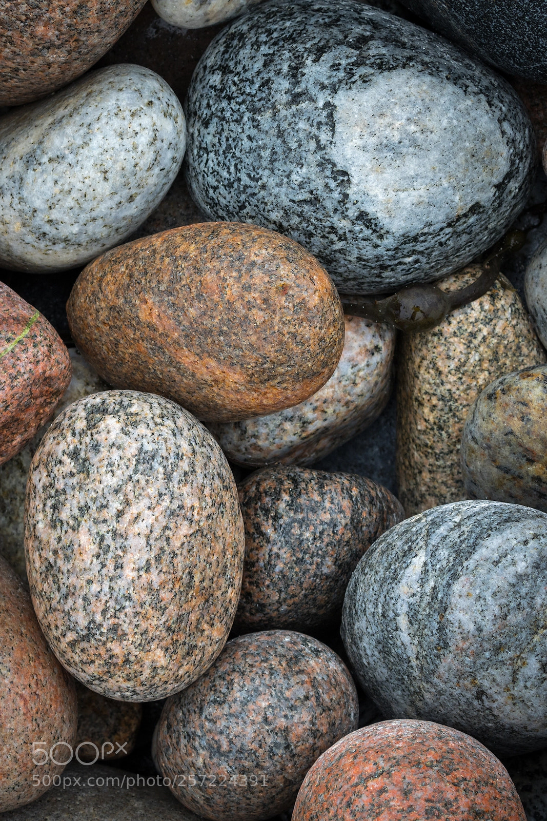 Canon EOS 5D Mark IV sample photo. Stones 5 photography
