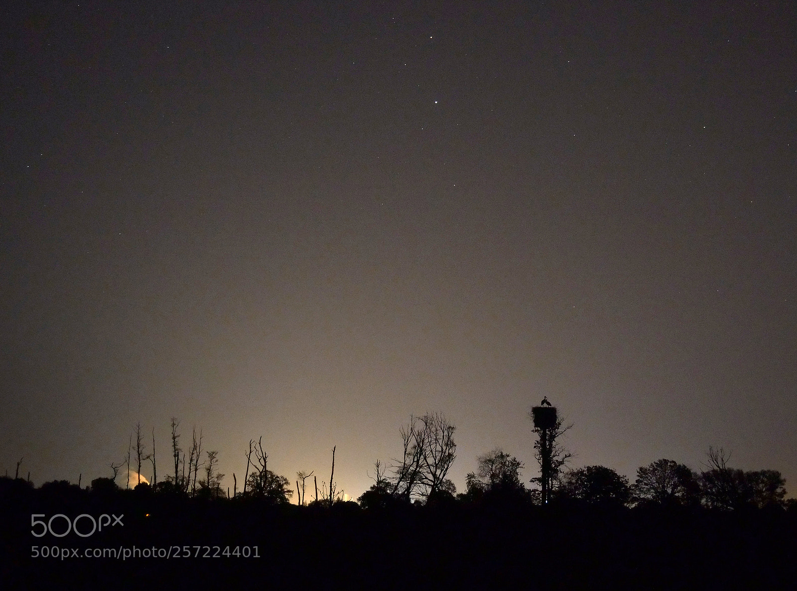 Panasonic Lumix DC-GH5 sample photo. Night at ilkerbruch (i) photography