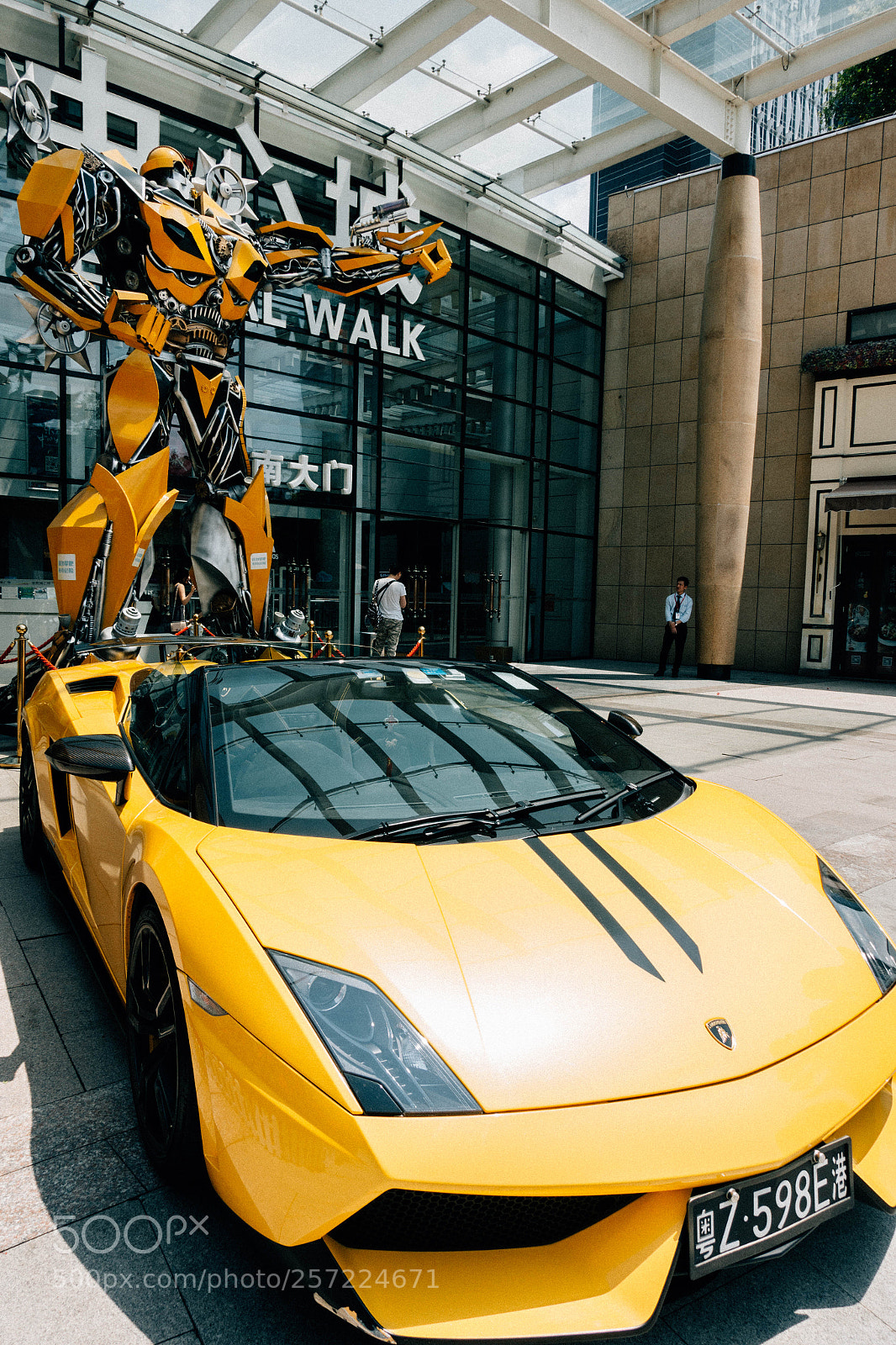 Sony Cyber-shot DSC-RX100 III sample photo. 大黄蜂bumblebee photography