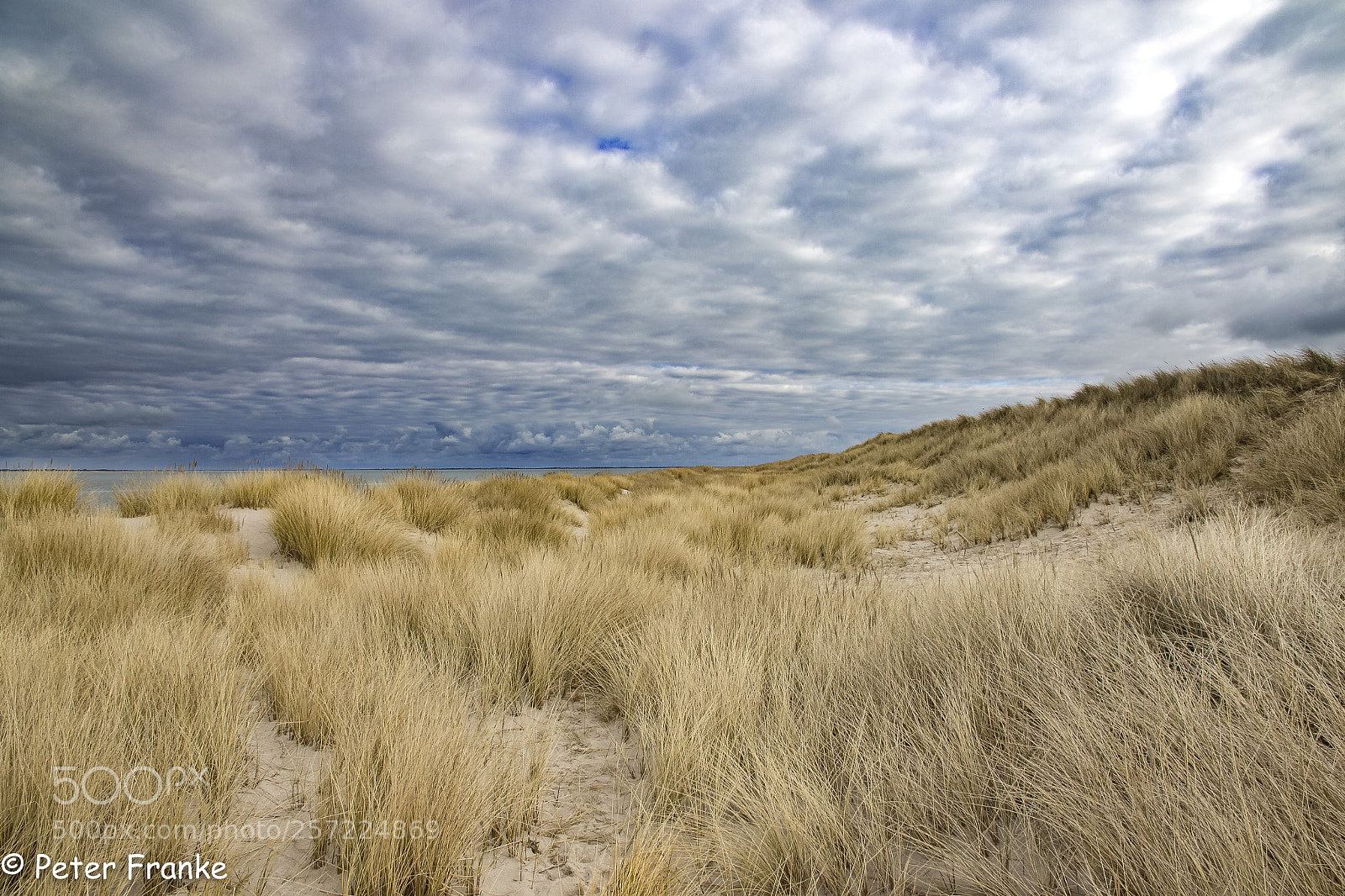 Canon EOS 7D Mark II sample photo. Strandhafer sky sylt photography