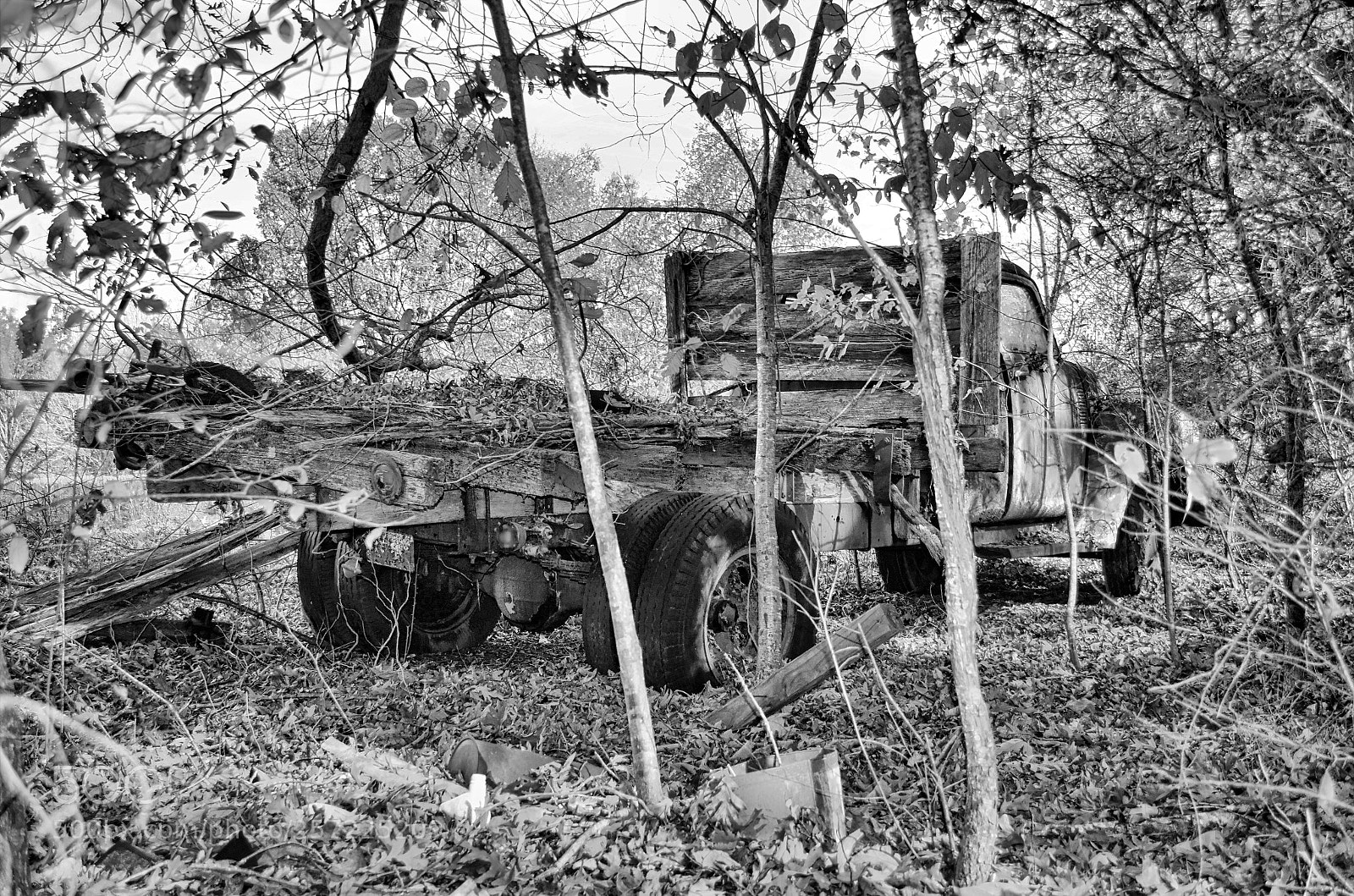 Nikon D5100 sample photo. Waiting photography