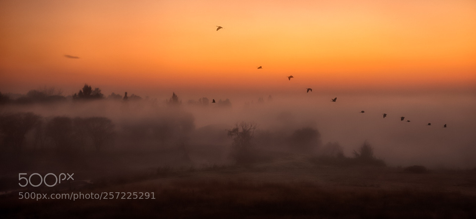 Sony a7R sample photo. The view... photography